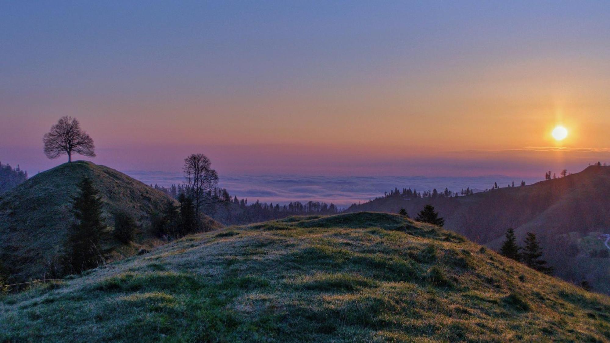 Buehl 3 Villa Affoltern Am Albis Buitenkant foto