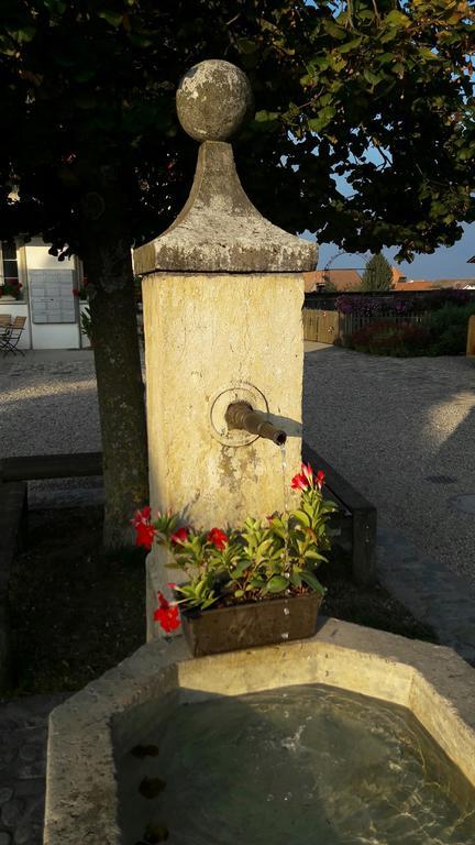 Buehl 3 Villa Affoltern Am Albis Buitenkant foto
