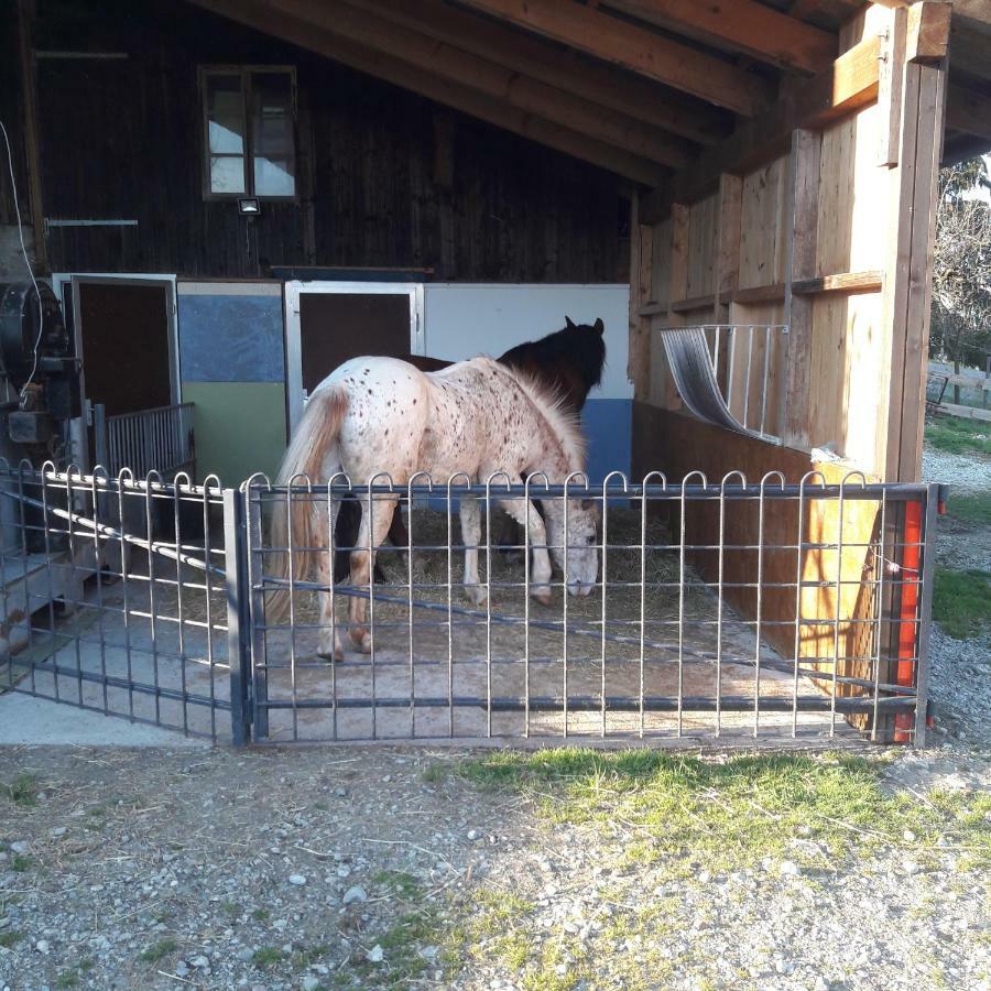 Buehl 3 Villa Affoltern Am Albis Buitenkant foto