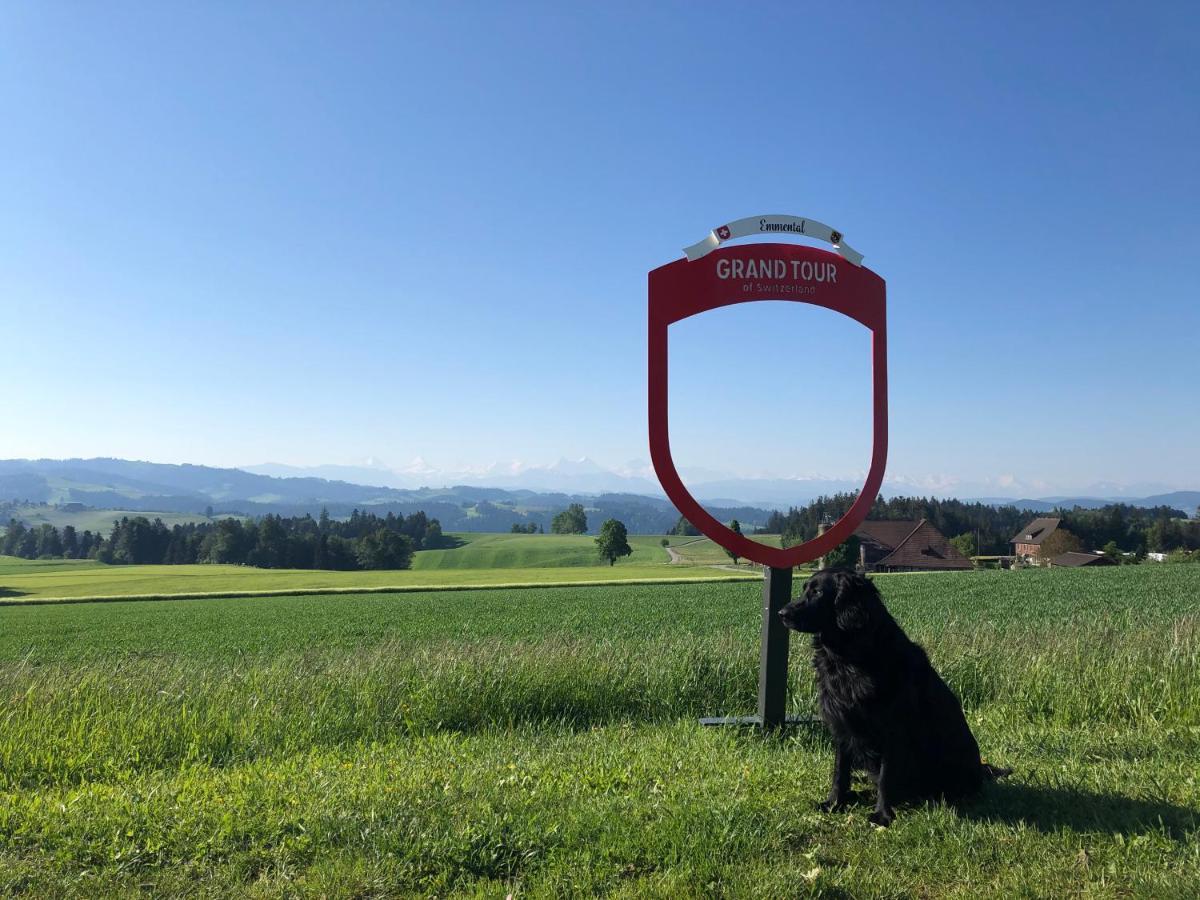 Buehl 3 Villa Affoltern Am Albis Buitenkant foto