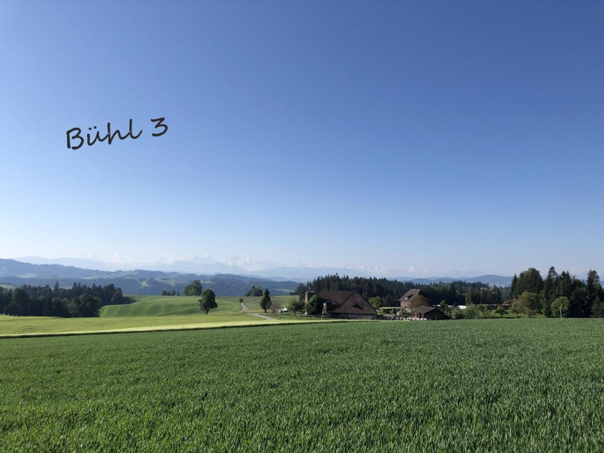 Buehl 3 Villa Affoltern Am Albis Buitenkant foto