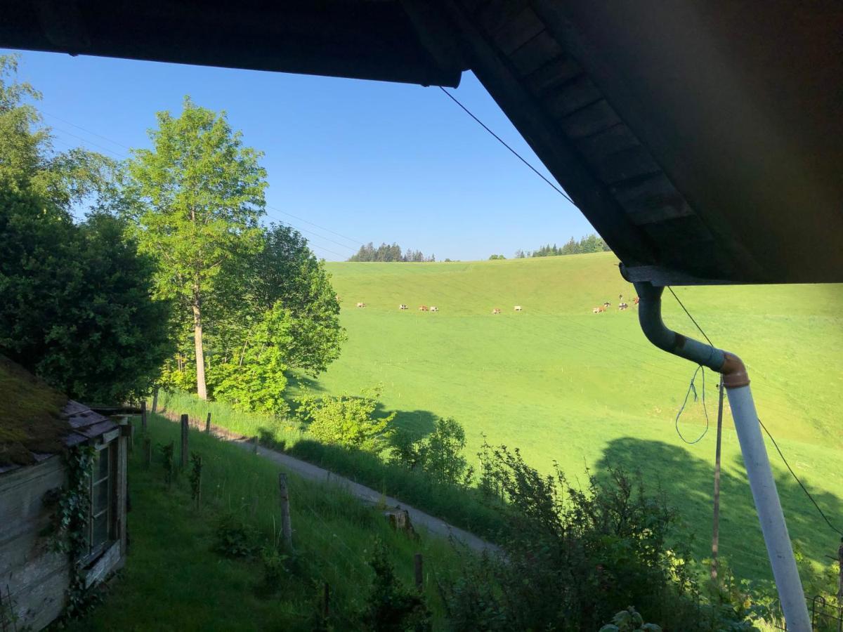 Buehl 3 Villa Affoltern Am Albis Buitenkant foto